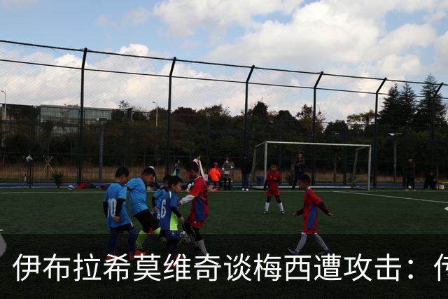 伊布拉希莫维奇谈梅西遭攻击：传奇无需奖杯佐证，足球自有答案
