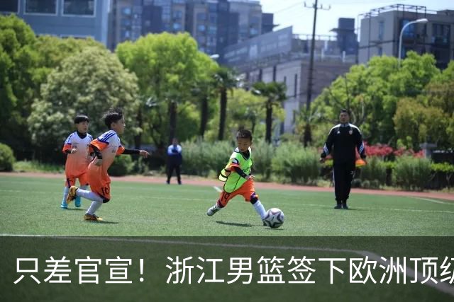 只差官宣！浙江男篮签下欧洲顶级控卫，曾世界杯单场17次助攻打破纪录