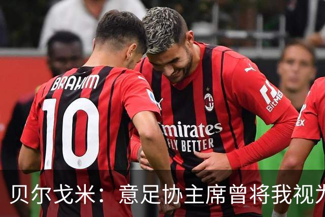 贝尔戈米：意足协主席曾将我视为备选方案，但首选一直是马尔蒂尼