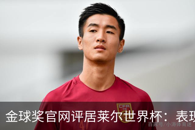 金球奖官网评居莱尔世界杯：表现足够好，可惜整体不佳